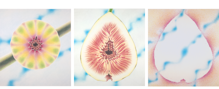 Fig triptych, from A Tree of Life, by Sandra Dean image