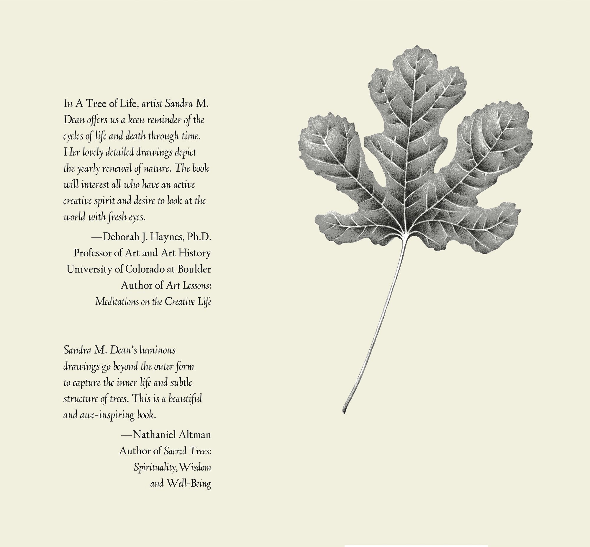Image of back cover of A Tree of Life, by Sandra Dean