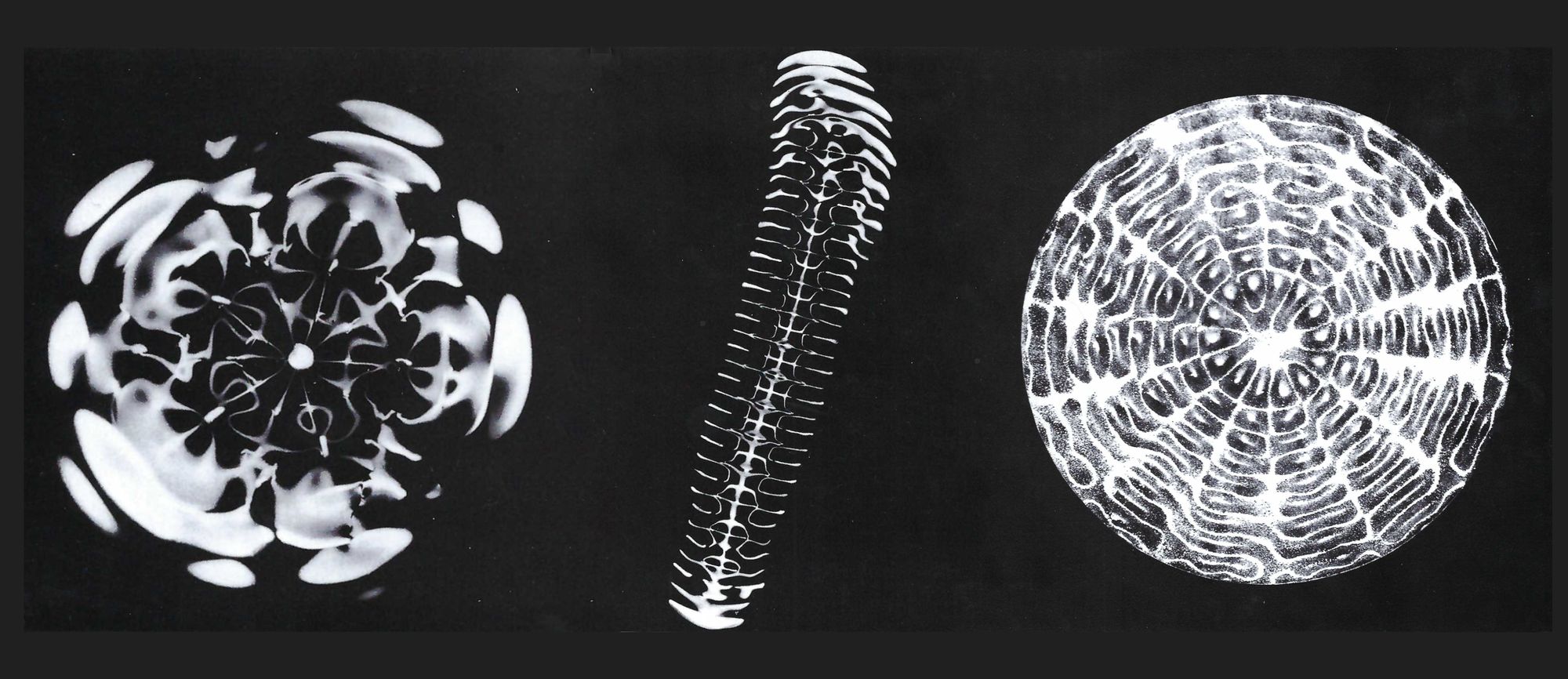 Photo of cymatics patterns