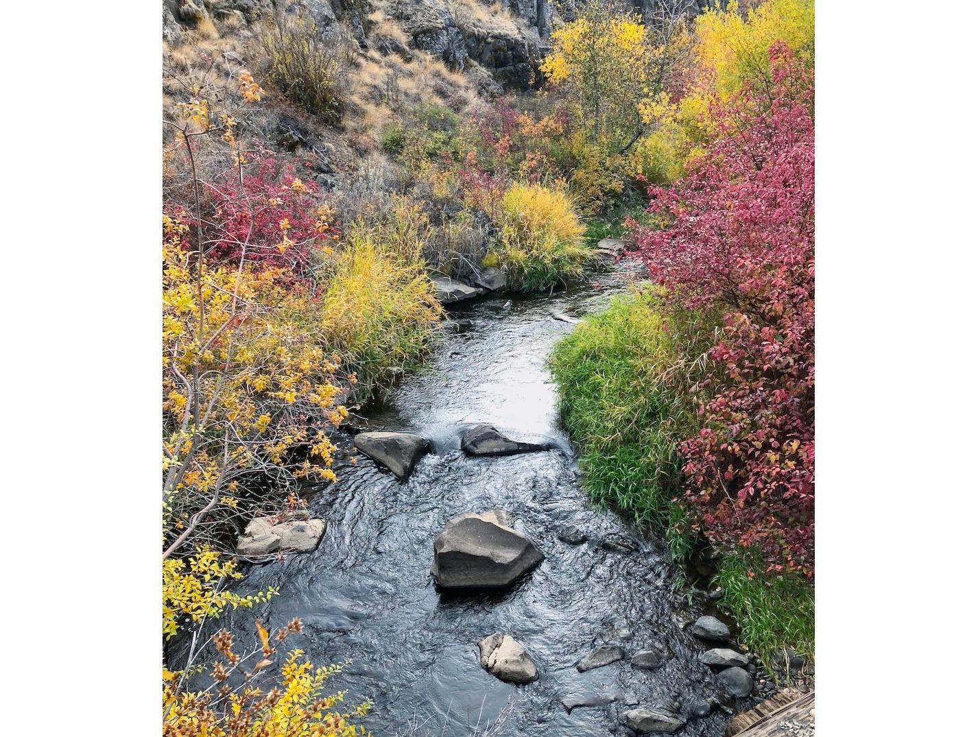 Photo of Cowiche Creek in Cowiche Canyon by Sandra Dean