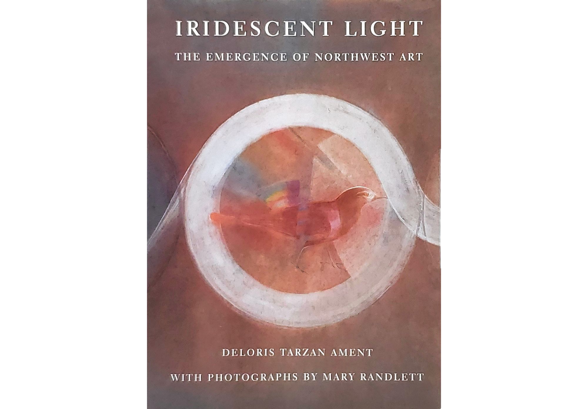 Image of book cover of the Iridescent Light