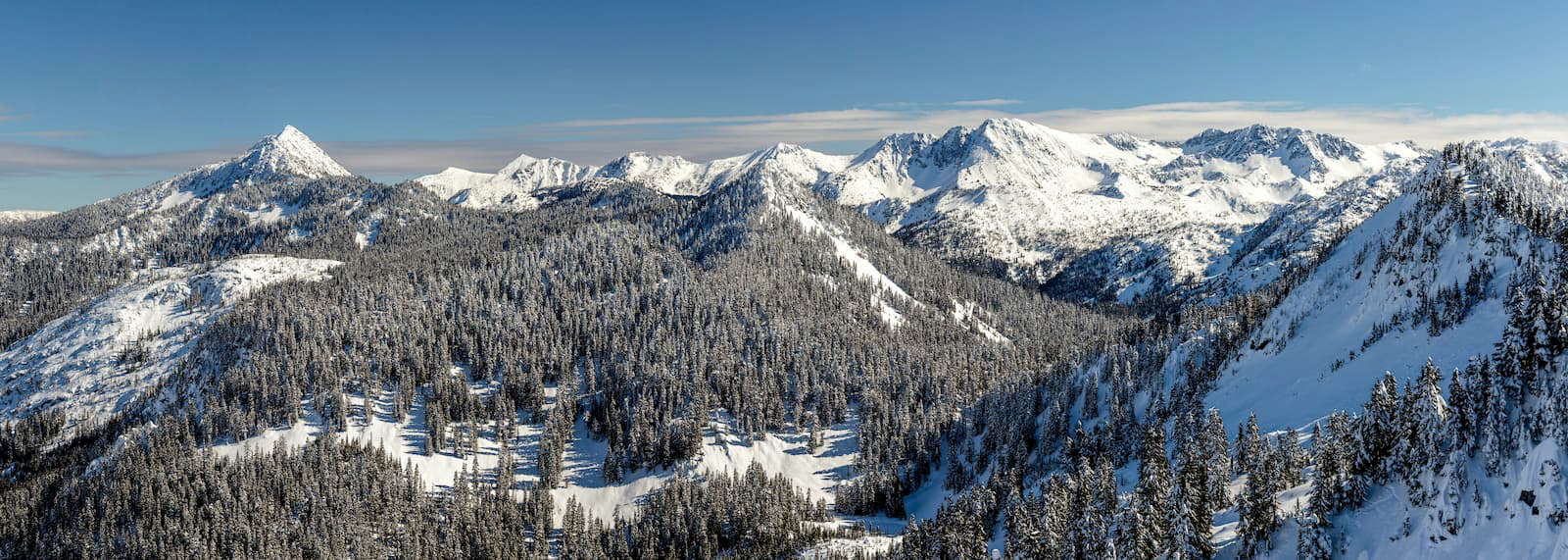 Photo of snow-covered mountains in distance, with evergreens in foreground