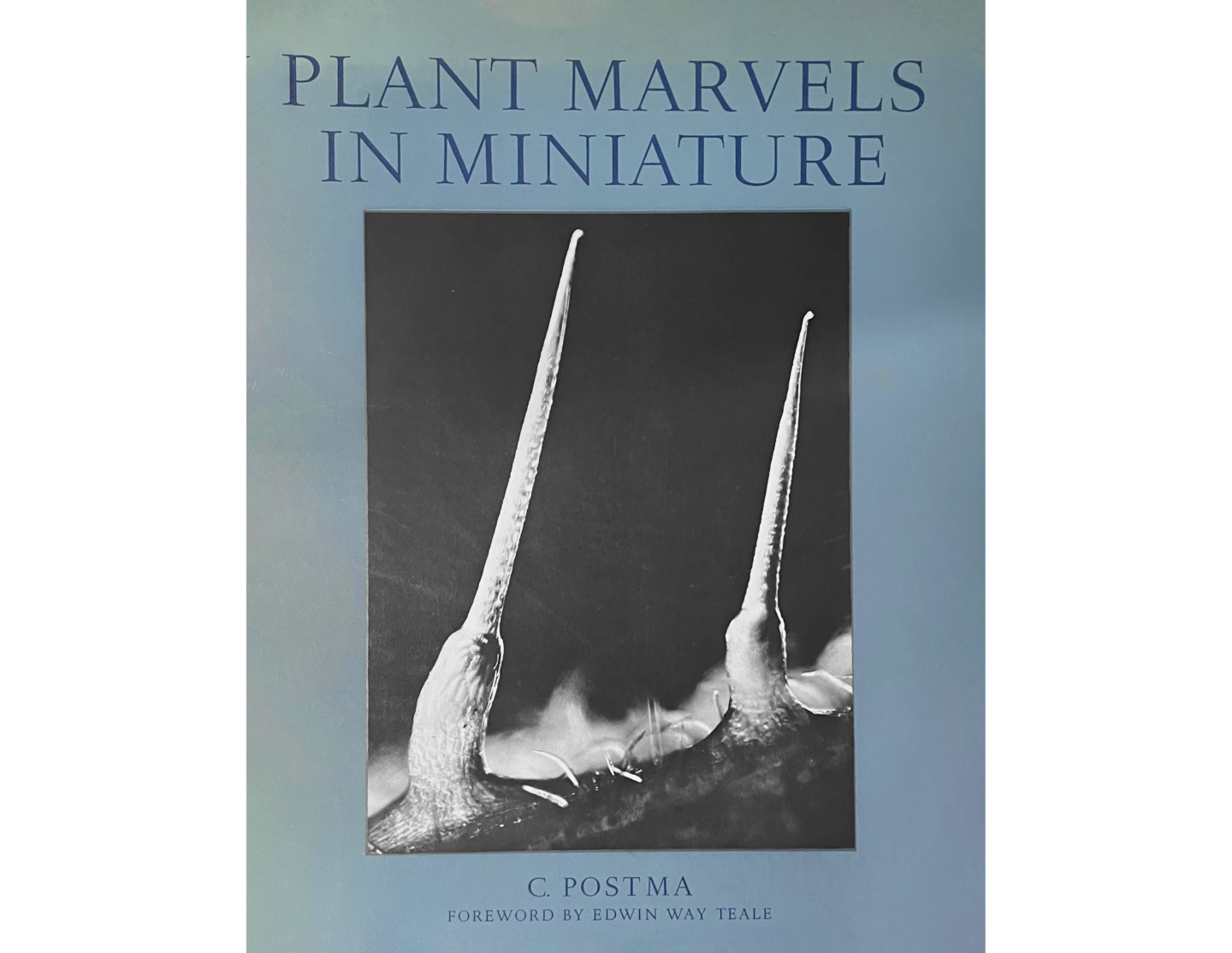 Photo of book blue book cover "Plant Marvels in Miniature" with black and white photo of two microscopic plant spikes