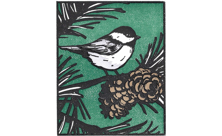 Print of chickadee sitting on pine branch with pine cone, with green background