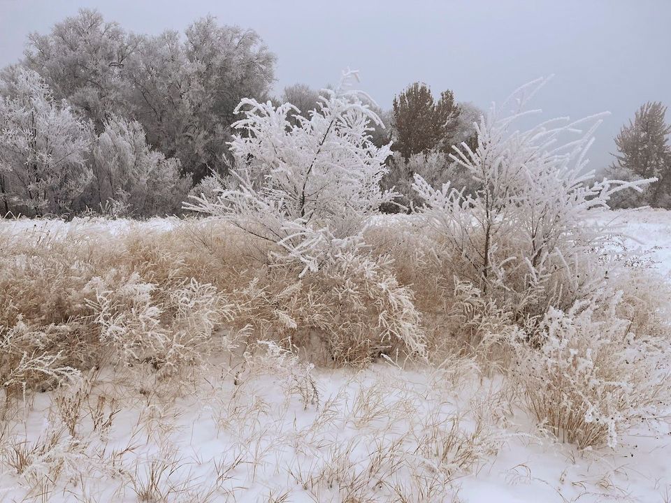 Photo of Tieton Winter Scene (Sandra Dean)