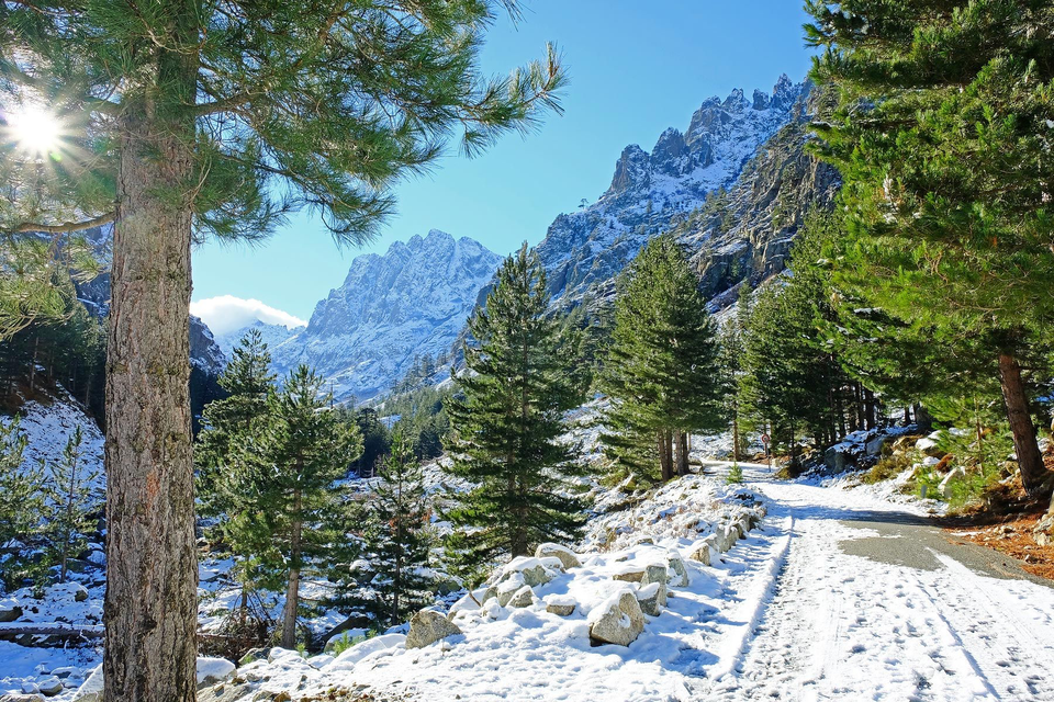 Photo of a snow covered road in the foreground with evergreen tress and sharp-peaked, snow-covered mountains in the background
